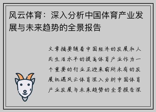 风云体育：深入分析中国体育产业发展与未来趋势的全景报告
